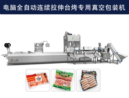 DLZ-520/620電腦全自動(dòng)連續(xù)拉伸臺(tái)烤專用真
